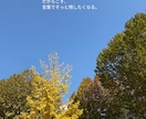想いが伝わるインスタキャプションを書きます 投稿に悩む時間を減らし、伝わる言葉をお届けします イメージ3