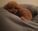 前向きになれる方法を一緒に考えます 人生を前向きに歩めるお手伝いします！ イメージ1