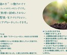 FAP療法でトラウマを癒します トラウマ・自己否定・生きづらさ イメージ4