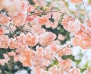チャットでやりとり！あなたに寄り添います お好きなタイミングで大丈夫！あなたのお話し聞かせてください イメージ1