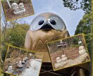 WEBデザイナー、バナー作成を提供してます デザインスクールのノウハウを生かして製作 イメージ8