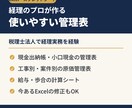 経理用のExcel・管理表や自動計算表を作ります -出納帳・原価管理表・給与計算表他！経理目線で使いやすく- イメージ1