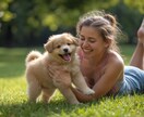 初めて子犬を迎えた方へ♪飼育の不安を整理します 元ペットショップ店長経験者が不安点を整理します イメージ1