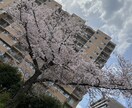 あなたのお話をじっくり聞きます どんなお悩みでも誠心誠意聞かせていただきたいです。 イメージ1