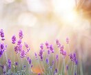 お悩み相談賜ります 日々のお悩みや話したい事などお話してみませんか？ イメージ1