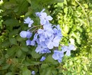 お話ききます あなたの悩みを聞かせてください！ イメージ1