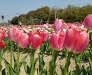 あなたのお悩みなんでも聞きます 愚痴や悩みを聞いてほしいあなたへ イメージ1