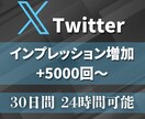 30日間インプレッション5000回～やします 5000回増加★Twitterツイート回数無制限★毎日可★ イメージ7