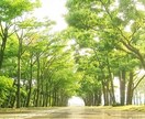 サンプルボイスあり☀️人間関係のお悩みを聴きます ☘️職場☘️夫婦☘️カップル☘️家族☘️親戚☘️お友達 イメージ17