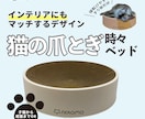 STUDIOで編集可能なホームページ作成いたします ココナラ出品特別価格20,000円！　5名様まで！ イメージ9