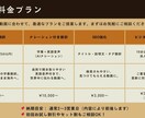 YouTube動画を英語音声に翻訳します ナレーション付きで海外向けに発信できます イメージ6