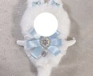 オタ活の支え、ぬい服を作成致します リボンのデザイン、色、パーツなどあなただけのものを。 イメージ2