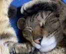 霊能力、未来　透視で貴方の恋愛相談のります 霊能力と透視の力で未来を見て、総合的に見たいと思います イメージ1