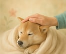 介護中のペットと心を繋げ合います 療養中のペットと飼主さんが心を寄添え合えるようお手伝いします イメージ3