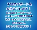 スマホで仕入れメルカリで販売！簡単中国輸入教えます スマホでOK、仕入れ資金も少額、日本語のみの中国輸入転売。 イメージ8