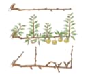 植物のイラストお描きします 〜植物大好きな私が描く植物イラスト〜 イメージ7
