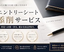エントリーシートなどの添削を行います 一般企業向けや監査法人向けなど，お気軽にご相談ください！ イメージ1