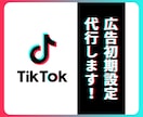 法人向け｜TikTok広告初期設定代行します 面倒で難しい広告の初期設定、すべて任せてください！ イメージ1