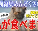 サブスク形式でカット・整音承ります めんどくさい編集作業、お手伝いさせてください！ イメージ1