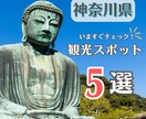 １ヶ月間、インスタ運用いたします アカウントが伸び悩んでいる方お任せください！ イメージ6