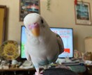 心の苦しみ話を聞いてほしいそんな時傾聴します 夜にそんな時間はやってきます、あなたのお話し聞かせてください イメージ3