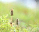 チャットでお話ベタのあなたの話し相手になります チャットから始めてみませんか、気軽なおしゃべり♪ イメージ10