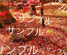 雰囲気のある美しい花・風景の写真素材を提供します 著作権フリーで四季折々の美しい写真をご自由にご利用ください。 イメージ2