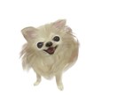 ペットの似顔絵を描きます 可愛いペットをイラストにします イメージ4