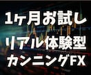 先出しカンニングFXを1ヶ月限定でお試しできます 1ヶ月のリアル体験型パスポートで、覚醒しませんか？ イメージ1