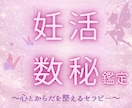 妊活中の孤独な気持ちをほどく数秘鑑定書届けます 子宝を願う想い、ひとりで抱えていませんか？全9枚のボリューム イメージ1