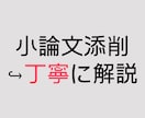 小論文が苦手な人へ｜添削＋書き方を丁寧に解説します 自分自身の経験をもとに、分かりやすく丁寧にサポートします イメージ1