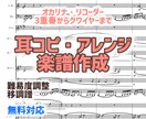 お好きな曲をオカリナ・リコーダーの楽譜にします 特殊管も大歓迎！作曲首席卒が制作 イメージ1