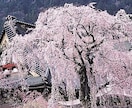 高次元の波動をお届け❗️遠隔波動修正します 高次霊であられる日蓮大聖人様のお力で、波動を整えて頂きます イメージ2