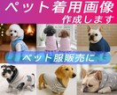 平置き写真からペット着用画像を作成します ペット服販売の商品ページに。平置き写真で作成可能。 イメージ1