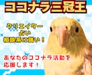 商売繁盛オカメインコがココナラ活動をサポートします 初心者〜中級者向けコンサル☆1週間でサクッと売り場改善! イメージ1