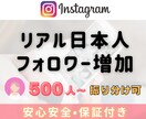Instagram 日本人フォロワー増やします 振分可｜アイコン画像あり｜インスタ日本人フォロワー500人～ イメージ8