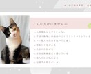 60分|モヤモヤした気持ちをチャットで伺います 気持ちを文字に打ち込んで、「こころ」を整理しませんか？ イメージ3