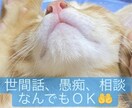 2日間♪あなたのお話相手になります 世間話や愚痴、何気ない日常の事まで気軽にお話ししましょう☆ イメージ1