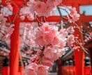 初回｜恋の悩み。あの人の本心と二人の関係を整えます 片耳の静寂で培った鋭い感性で、見えない本音を捉えます。 イメージ4