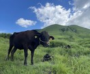手配代行、スケジュール作成代行を行います 旅行の面倒事、47都道府県旅をした私にお任せ下さい。 イメージ5