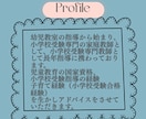 プロ教師が小学校受験についてアドバイスをいたします ママの気持ちに寄り添う小学校受験相談。小さなお悩みもお気軽に イメージ3