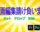 YouTubeなどの動画編集を代行します カット作業　テロップ挿入　BGM挿入　サムネイルを製作します イメージ1