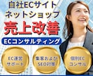 自社ECサイト運営をコンサルティングいたします 豊富な経験を持つEC専門家がECサイト運営の悩みを解決！ イメージ1