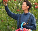 農家のリアル相談室　初心者OK　何でも相談ききます 栽培歴10年以上　農家の跡取りが、農業の疑問に何でも答えます イメージ2