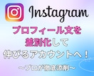Instagramプロフィール文を添削します 150文字で差がつく！差別化ポイントを提案します イメージ1