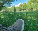 癒し声。1分からでも！どんな話でも受け止めます 人には言えない話や愚痴。匿名だから言えること…私が聞きます。 イメージ3