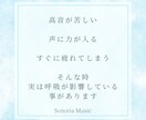 2回目以降はこちらから＊呼吸と発声から声を整えます 数千人の声分析経験から、お悩みに合わせて自然な声に導きます イメージ4