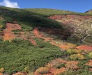 有資格ガイドがニセコの紅葉を登山ガイドします プライベートからグループ登山などみなさんの行きたい北海道へ イメージ1