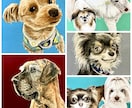 あなたの可愛いペット様の似顔絵お描きします 【世界にひとつだけ】うちの子似顔絵 イメージ9