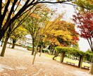 相談できないような悩みじっくり聴きます 皆様の心が少しでも晴れますように イメージ3